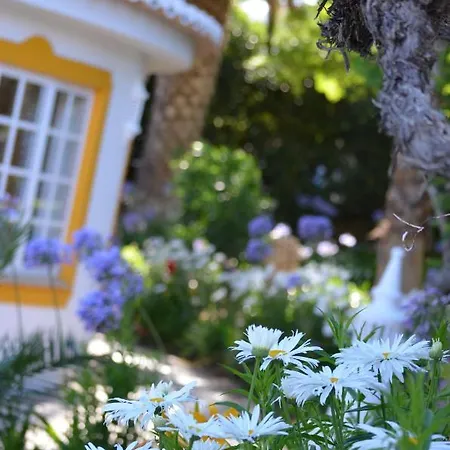 公寓 Cozy Studio With Garden View In Praia Da Luz