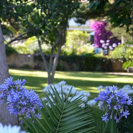 Cozy Studio With Garden View In Praia Da Luz 公寓 *